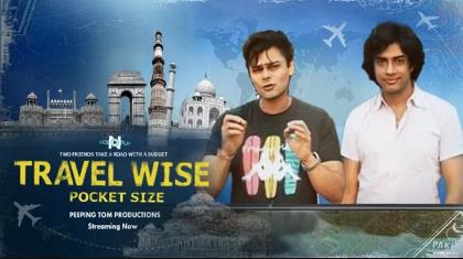 Travel Wise Pocket Size poster